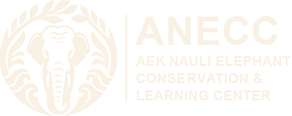 ANECC